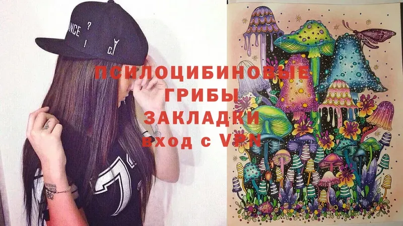 Псилоцибиновые грибы Magic Shrooms  купить  сайты  Бирюсинск 